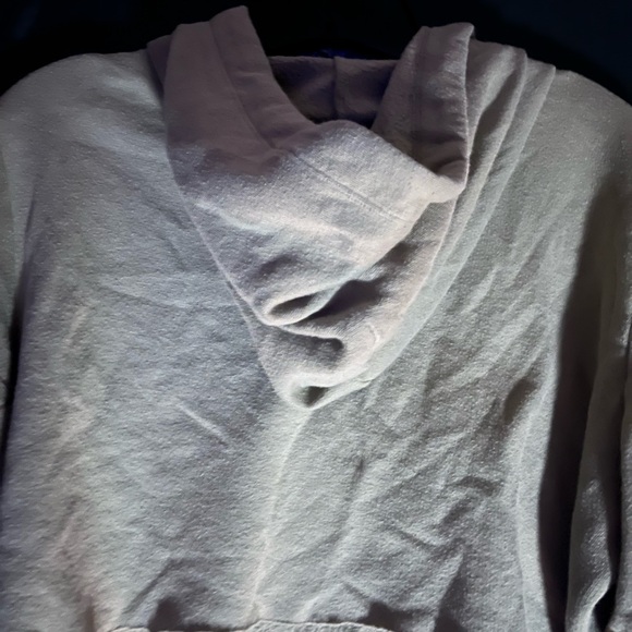 PINK VICTORIAS SECRET GREEN RUST SEQUINS GOLD SCRIPT SLEEVE CROP HOODIE LARGE - Picture 8 of 13